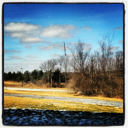 IMG_20130322_150333.jpg image