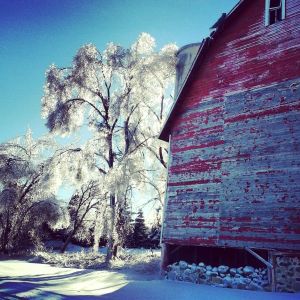 12.2013 ice storm 2