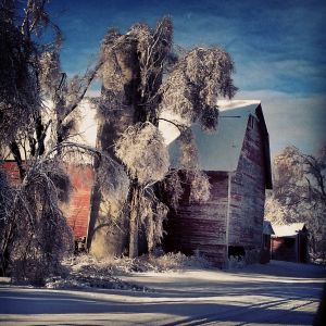 12.2013 ice storm 3