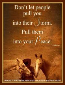 1472893_10151818820831378_992612685_n