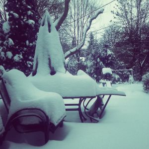 01.2014 patio after ion