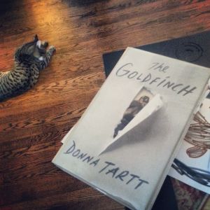 02.2014 emmett & goldfinch