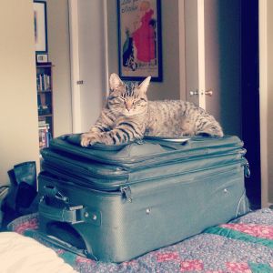 03.2014 sarge and suitcase