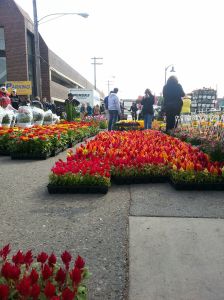 05.2014 eastern market 2
