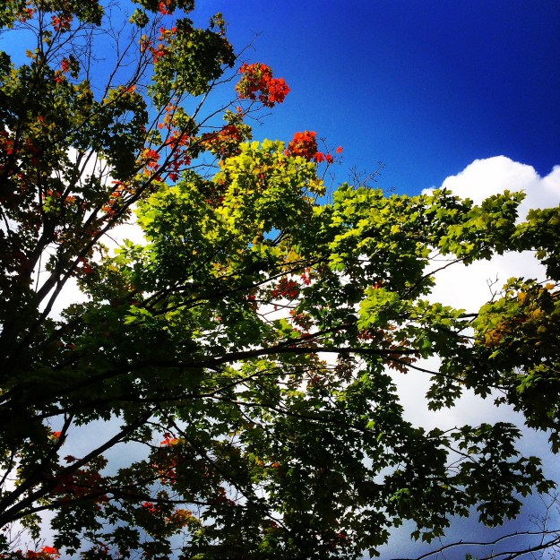 2014-08-31 15.00.30-2