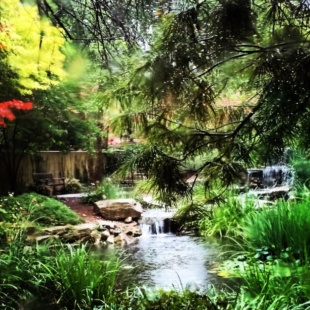 2014-09-10 14.33.44-2