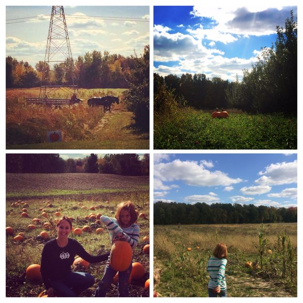 10.2014 orchard collage