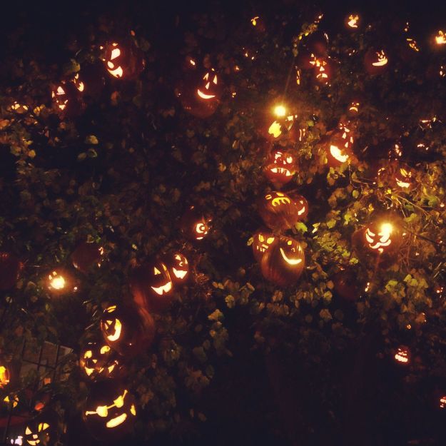 10.2014 pumpkin tree