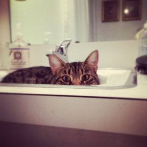 10.2014 sarge in the sink