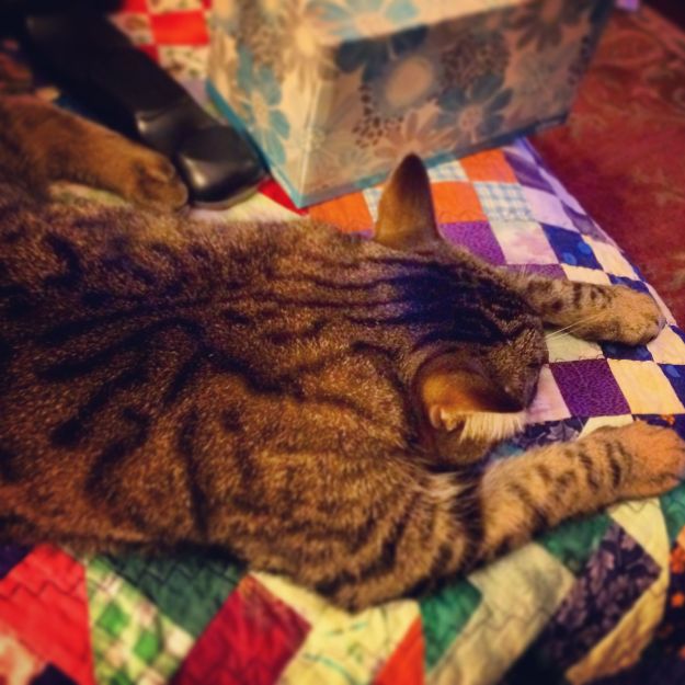 11.2014 sarge superman