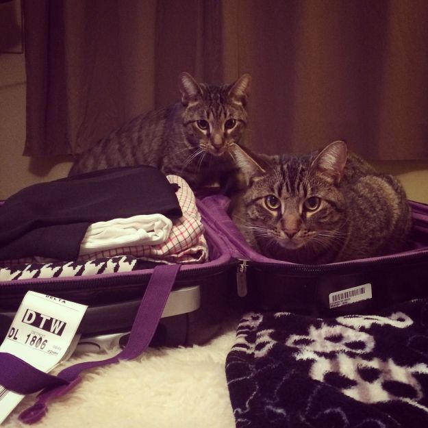 12.2014 miami suitcase