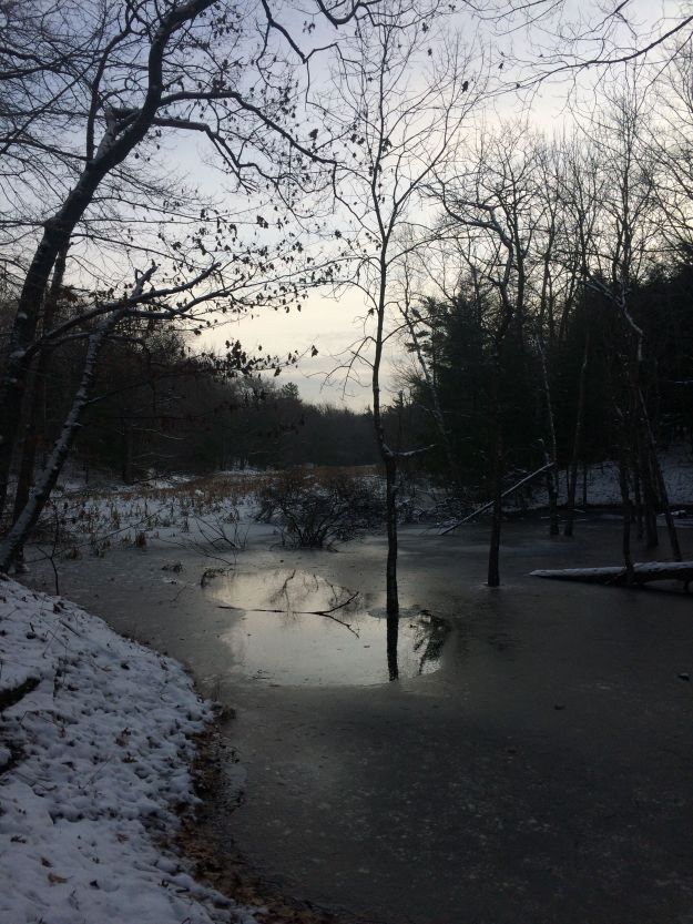 a morning trail run in the sleeping bear