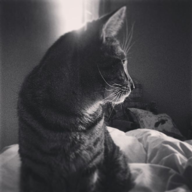 After this exhausting month, Emmett & I are looking forward to March.  