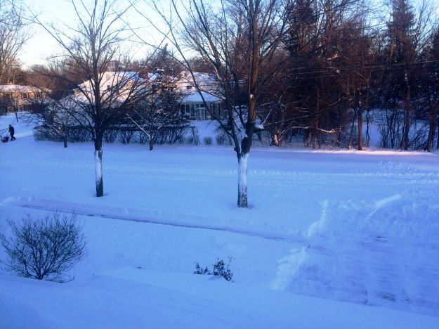 02.2015 linus street