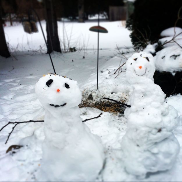 Brutally cold temperatures have forced school cancellations. Cabin fever sets in, and so I try to get Miss L out whenever the weather breaks for a short time. Fresh air, activity. Here is our take on the Stranger in the Woods - we call it Weirdos in the Backyard. 