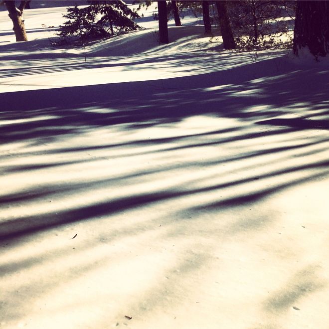 02.2015 winter shadows