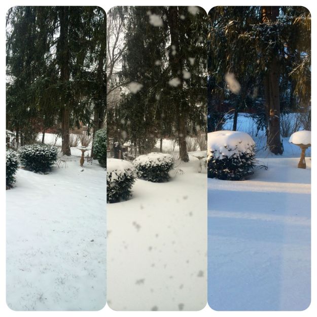 time lapse - left photo is from pre-storm, yesterday AM. Middle photo is mid-storm, about 3PM yesterday...and last photo is post-storm, this AM, morning sun. 