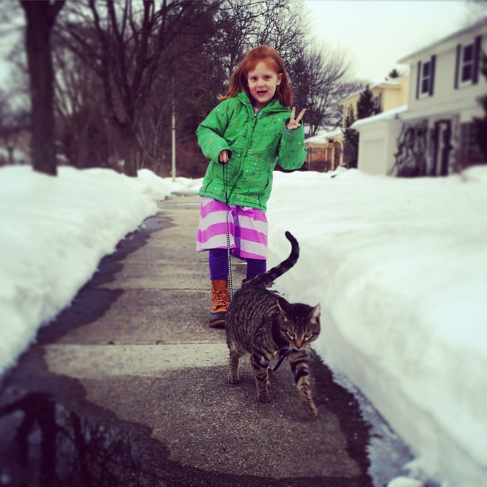 2015.03 emmett leash 2