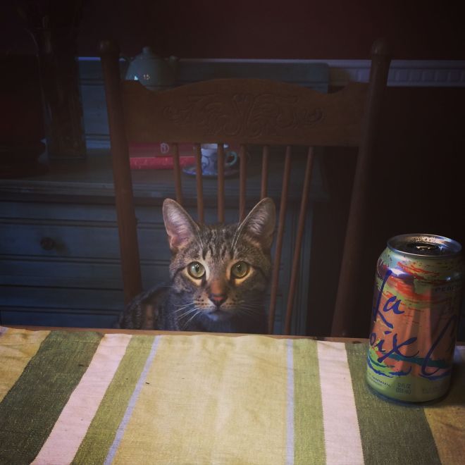 04.2015 emmett lunch