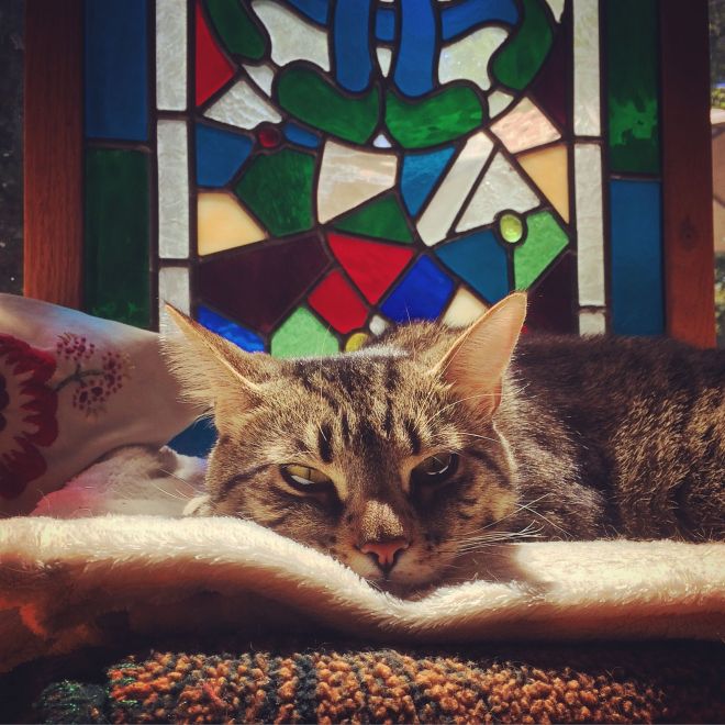 The stained glass window behind Sarge made me sing "Take Me to Church" to him, which 1) he didn't get, and 2) made me think I've been spending too much time alone with my cats, based on the amount of hilarity I received from this. 