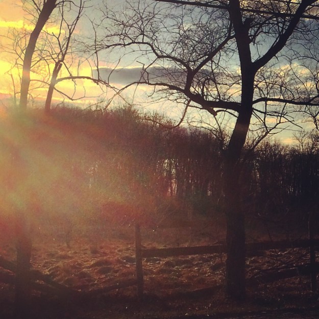 03.2016_back road field