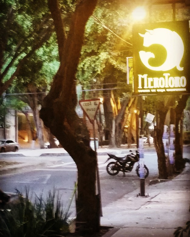 4.2016_mexico_merotoro