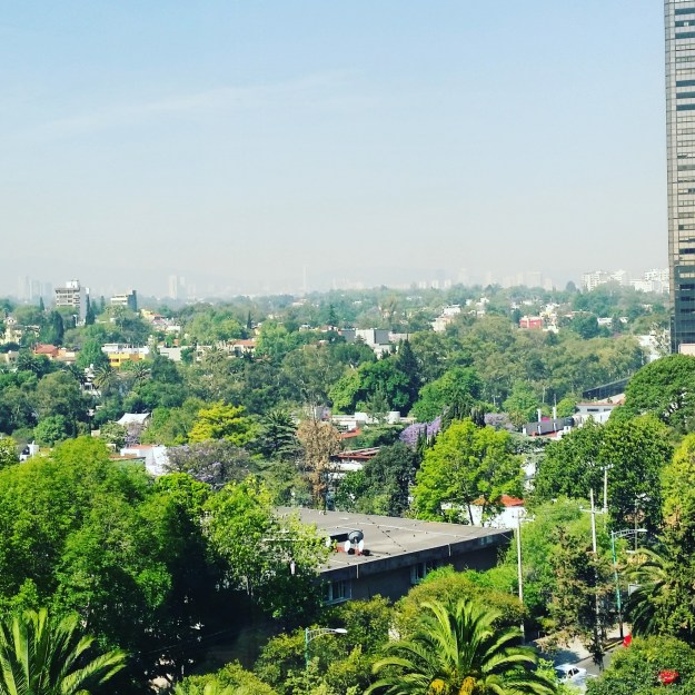 4.2016_mexico_view