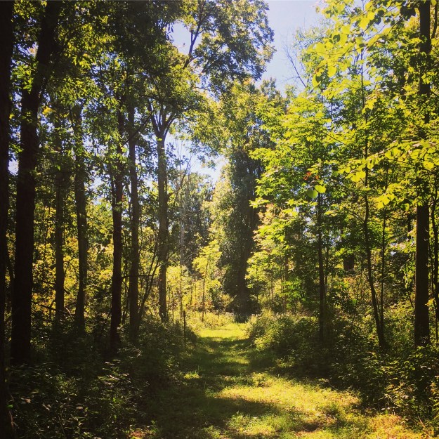 2016-09-12_160523671_0c0ef_ios