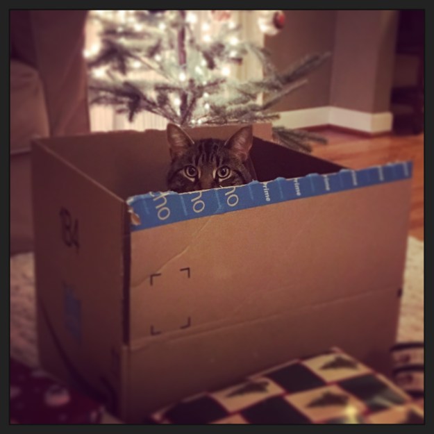 12-2016_wrapping-presents