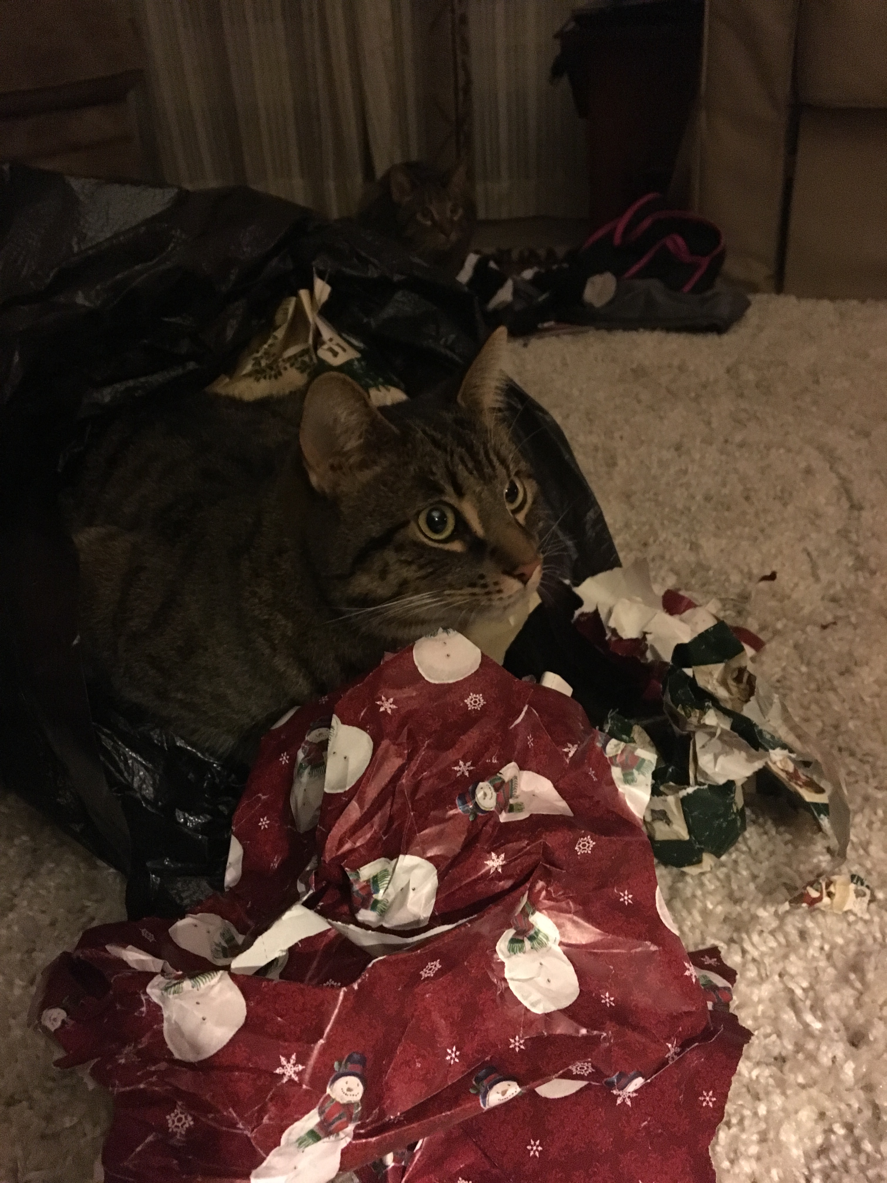 2016-12_sarge-wrapping-paper