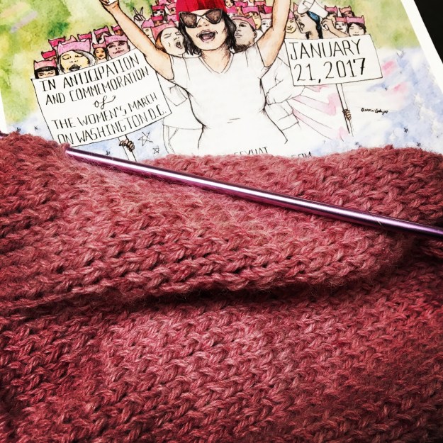 01-2017_pussy-hat