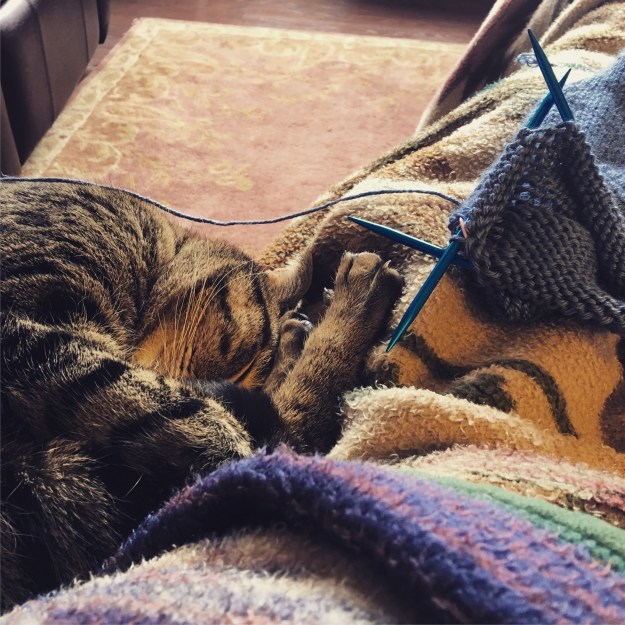 03.2017_emmett with knitting