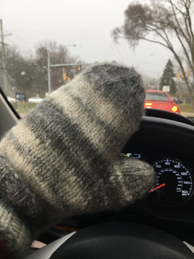 03.2017_felted mitten