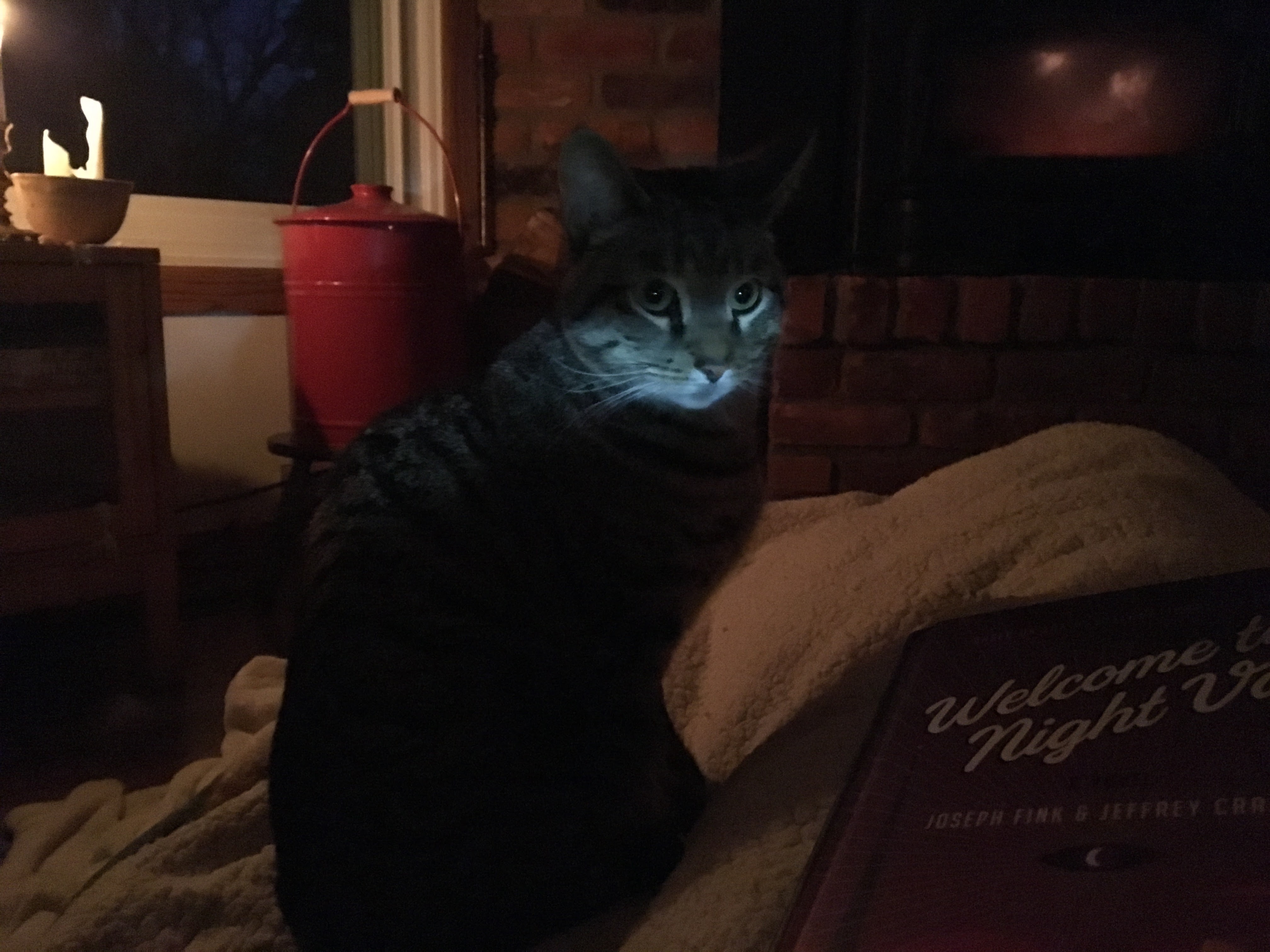 03.2017_lights out_night 3