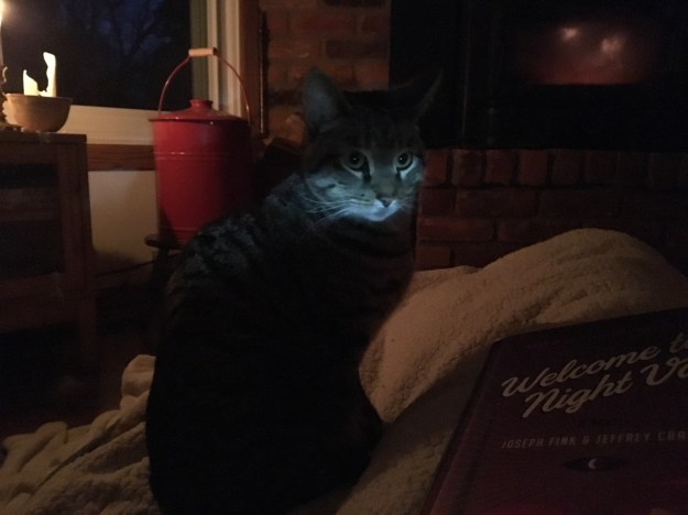 03.2017_lights out_night 3