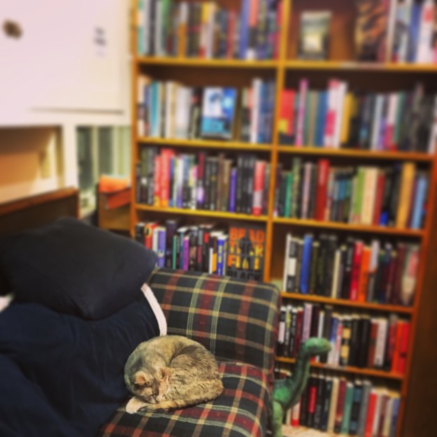 11.2017_haunted bookshop 3