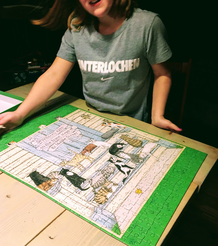 12.2017_seventeen cats