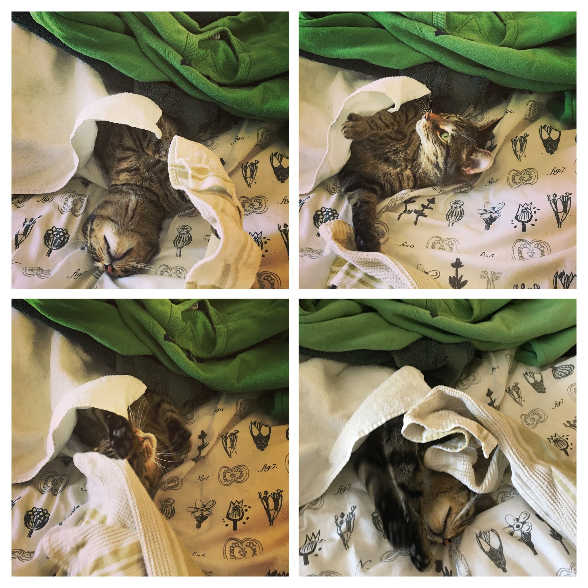 3.2018_emmett laundry