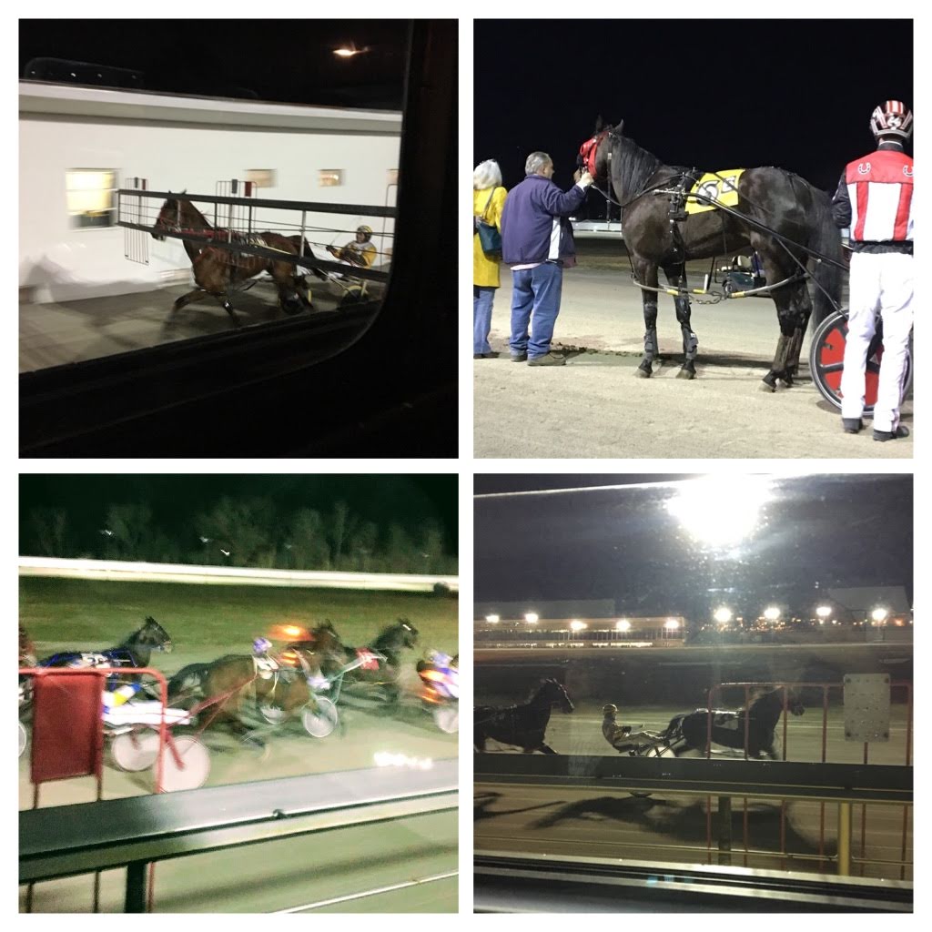 519674c1-fbff-4683-870c-e346571ba869-collage