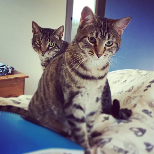 b15c406f-af74-4a6d-8375-764e4eaa28da