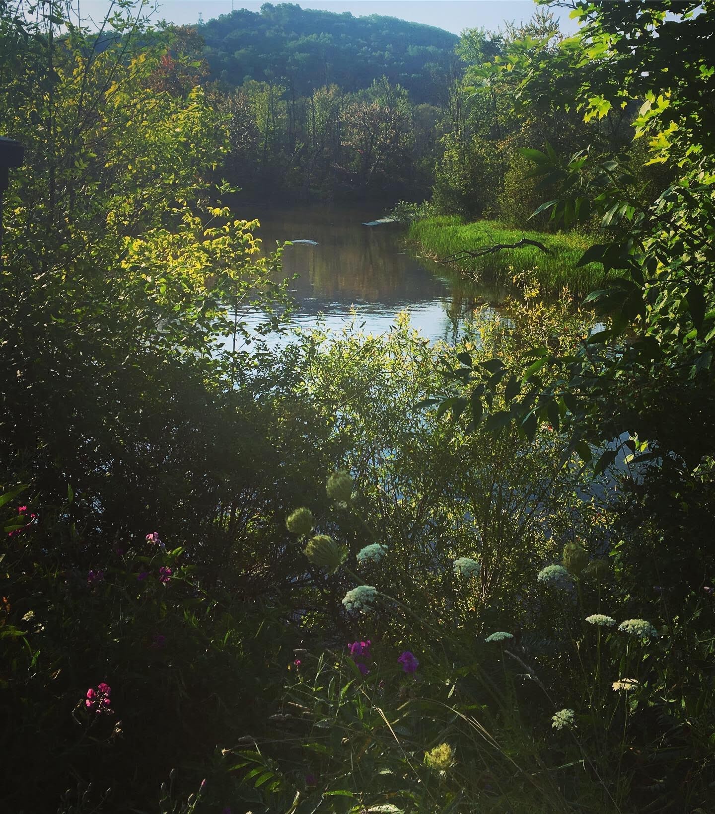 00c591ba-1ad1-4ebb-90ab-41fea073a41d