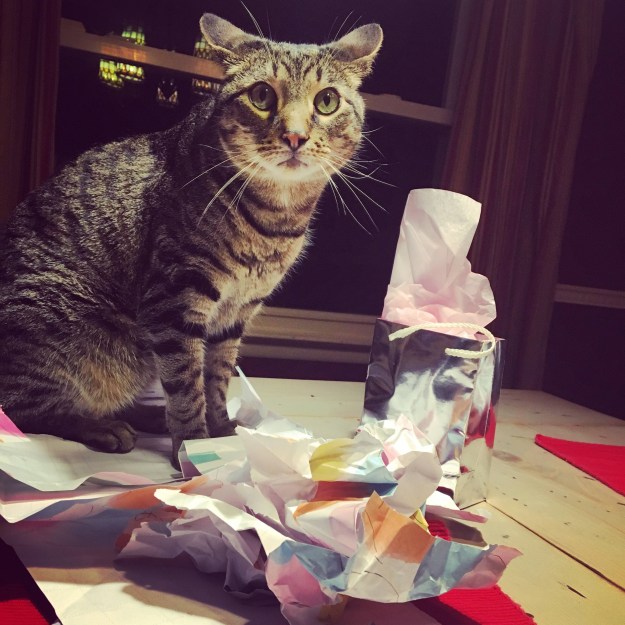 c996be7a-f368-41d5-8788-3ce0f5f98eee