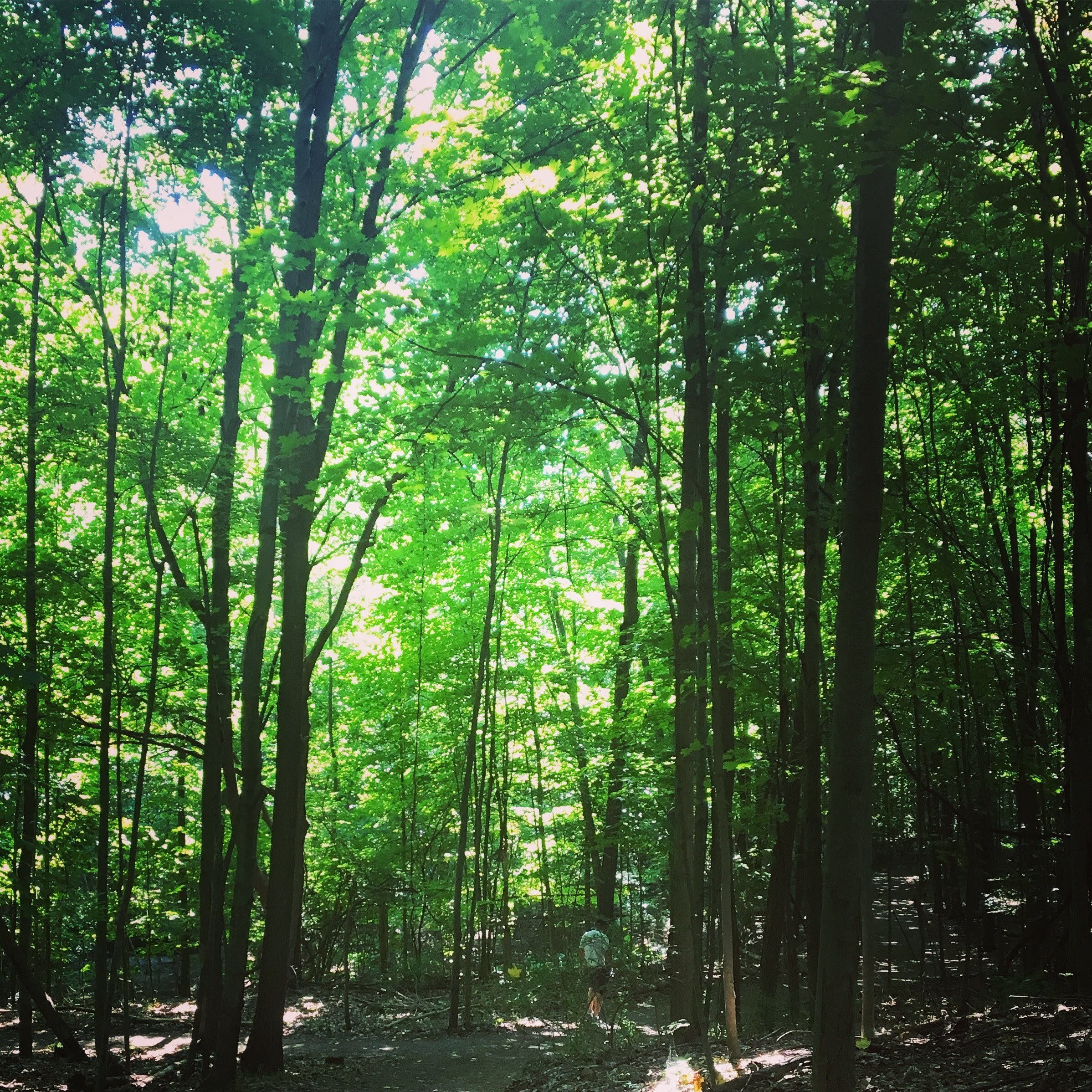 da349ae9-7a6e-4e50-96b1-ee74e68732b4