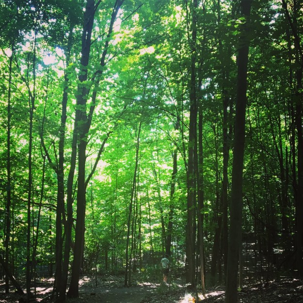 da349ae9-7a6e-4e50-96b1-ee74e68732b4