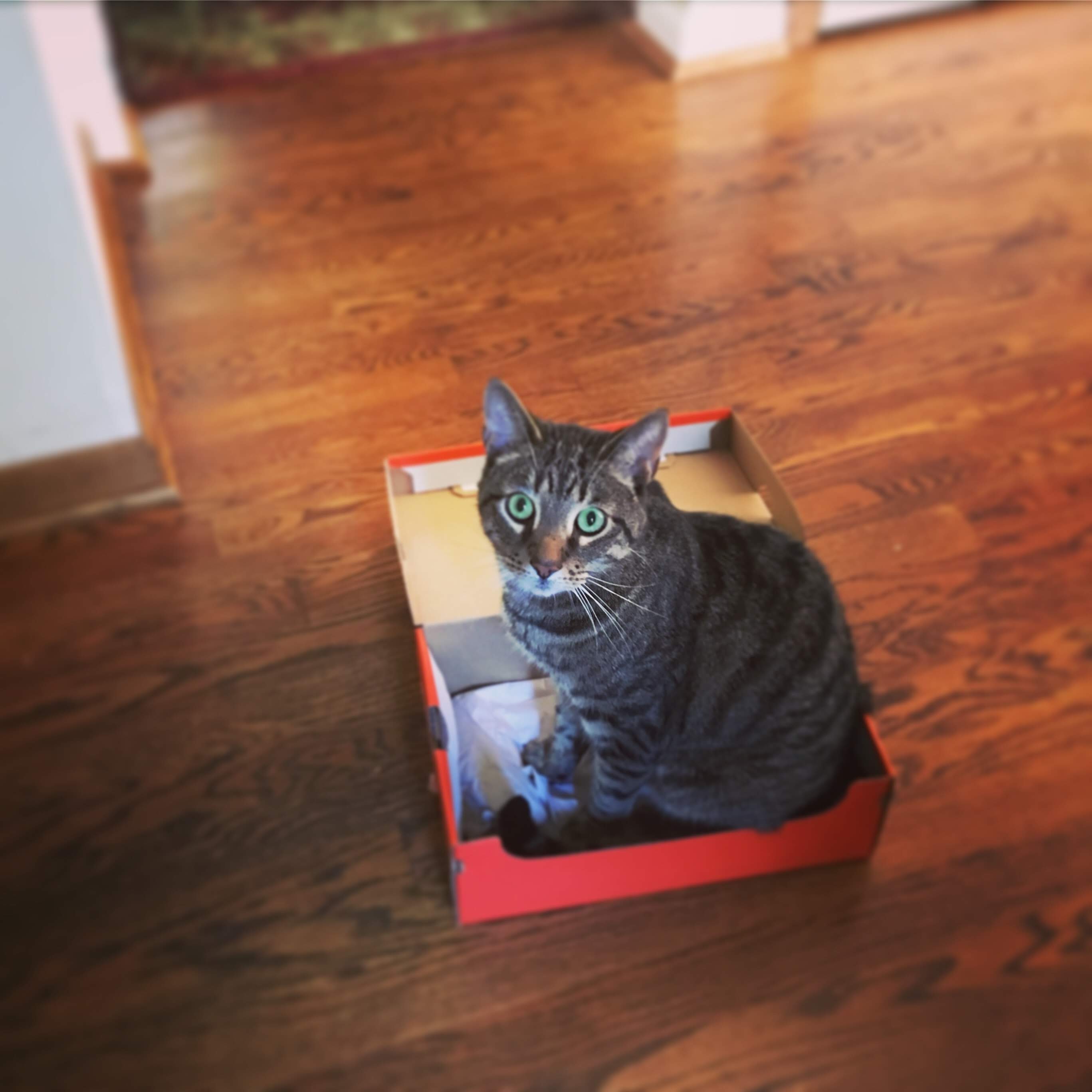 0e6a10a7-b7c9-4a39-b2b6-45fa1cc3b714