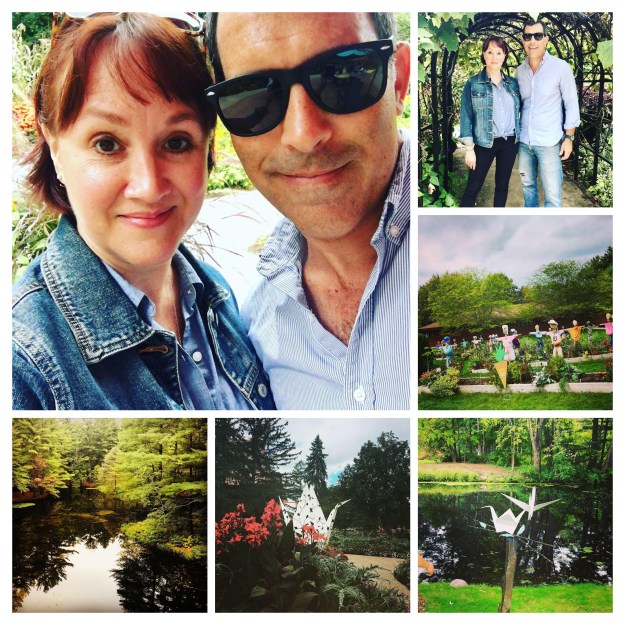 9128e3ad-3113-4456-91f1-53d0fc341cf3-collage