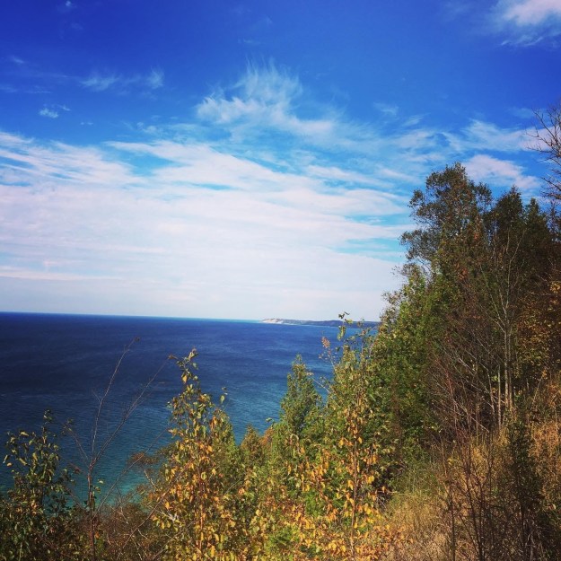 9d1a60f9-bb17-4def-959a-2421a8aead23