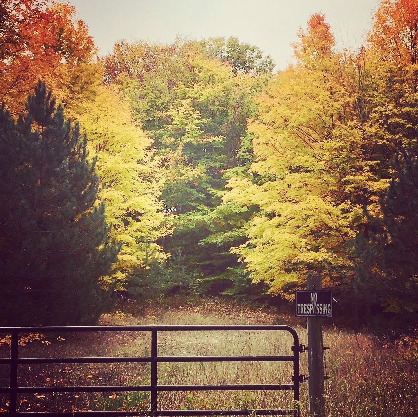 c753e4cf-0843-4759-894a-6e03b156bfa3