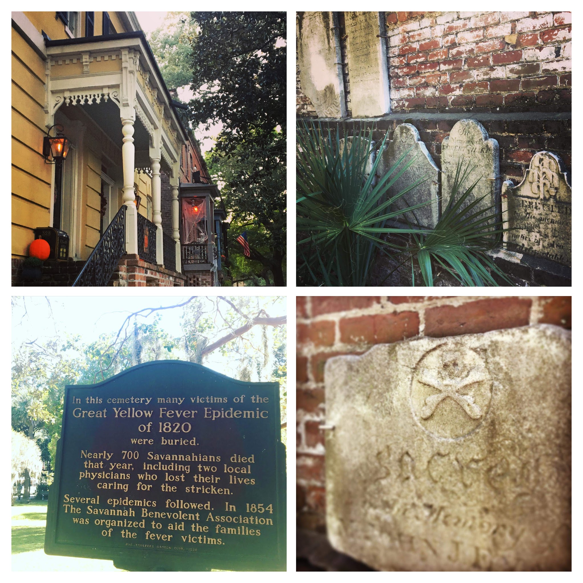 411eac60-b22d-4581-bf2e-0ec23395c086-collage