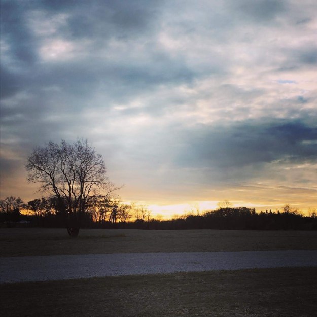 d14f313f-13da-4340-89be-bcc5dce868e6